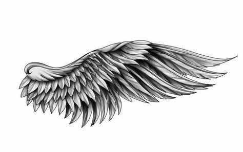 Wing Tattoo Men Chest, Tattoo Wings Men, Wing Tattoo Designs Men Back, Wings Tattoo Designs Men, Chest Wings Tattoo Men, Wings Chest Tattoo Men, Angel Wing Shoulder Tattoo, Wing Tattoo Men Arm, Wing Tattoo Designs Arm