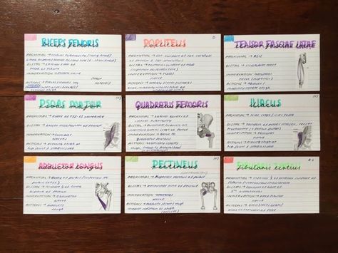 Flash Cards Ideas Study, Flash Cards Ideas, Anatomy Flashcards, Studie Hacks, Medicine Notes, Study Cards, Study Flashcards, Exam Motivation, Study Techniques