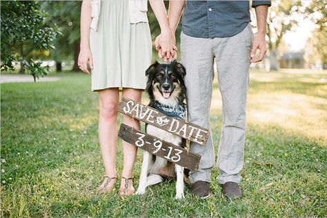 Sabe The Date, Save The Date Pictures, Save The Date Wording, Wedding Engagement Pictures, Save The Date Photos, Wedding Pets, Dog Wedding, Prewedding Photography, Trendy Wedding