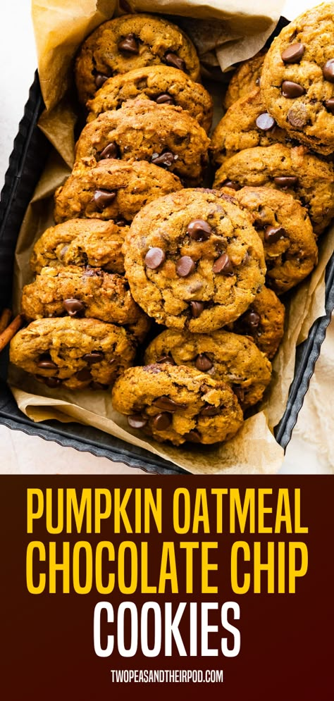 Soft and chewy oatmeal cookies with lots of pumpkin flavor and chocolate chips! The perfect fall cookie! Pumpkin Oatmeal Cookies Easy, Oatmeal Chocolate Cookies, Pumpkin Oatmeal Chocolate Chip, Pumpkin Oatmeal Chocolate Chip Cookies, Chewy Oatmeal Cookies, Thanksgiving Meals, Pumpkin Oatmeal Cookies, Pumpkin Cookie Recipe, Fall Baking Recipes