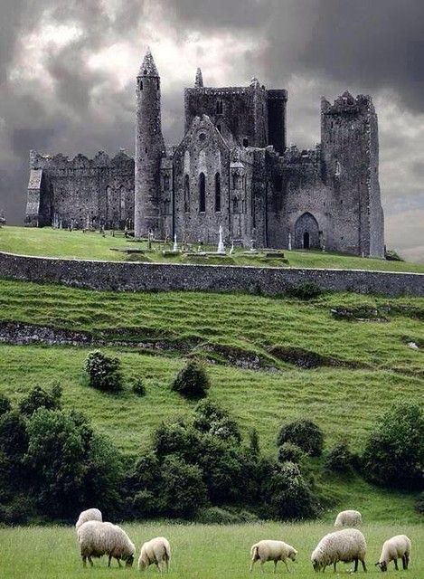 Château en Ireland castle sheep | Fabrice Dozias | Flickr Cashel Ireland, Rock Of Cashel, Ireland Aesthetic, Alnwick Castle, Chateau Medieval, Castles In Ireland, Abandoned Castles, Ireland Landscape, Ireland Vacation