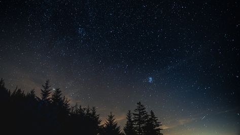 1920x1080 Wallpaper starry sky, night, trees, night landscape Starry Sky Wallpaper Desktop, 16:9 Wallpaper Aesthetic, 16:9 Wallpaper Backgrounds, Night Sky Hd, 16:9 Backgrounds, Night Trees, Floor Planning, Starry Night Wallpaper, Computer Wallpapers