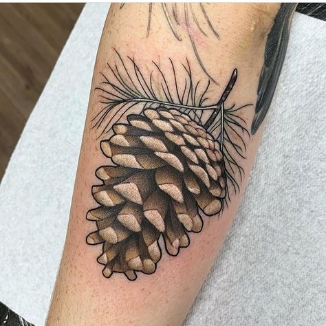 Corn Stalk Tattoo, Dawn Tattoo, Pine Tattoo, Neo Tattoo, Wildflower Tattoo, Fantasy Tattoos, Botanical Tattoo, New School Tattoo, Hand Tattoos For Guys