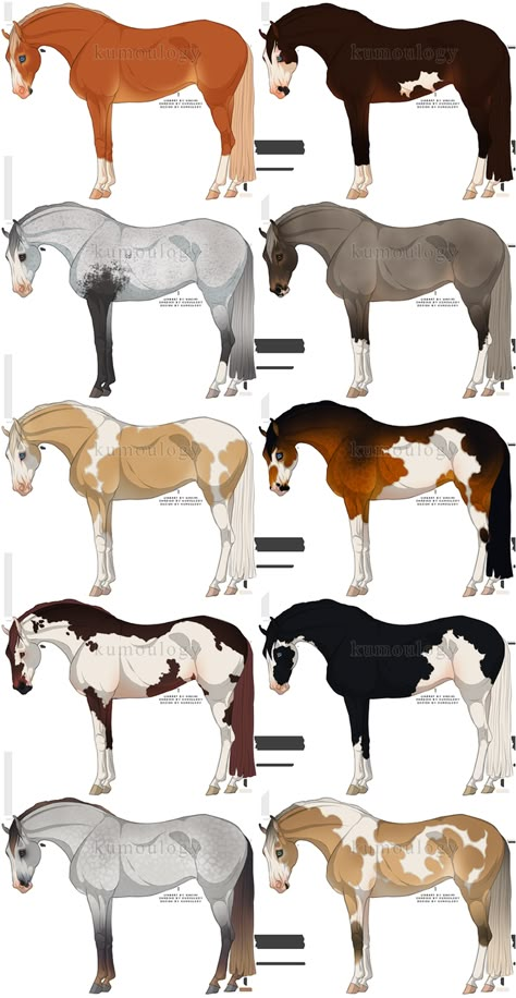 Horses Drawing, Fell Pony, Horse Art Ideas, Horse Animation, Horse Markings, Horse Coat Colors, Horse Art Drawing, Coat Ideas, Horse Sketch