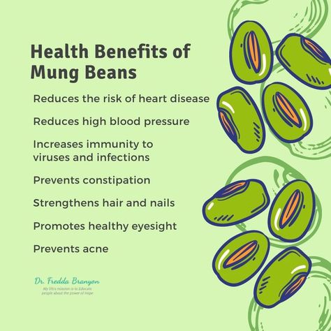 Mung beans have nutritional and medicinal benefits pivotal in maintaining excellent health. The underrated superfood may also reduce your risk of certain cancers. Excellent Health, Prevent Constipation, Reducing High Blood Pressure, Mung Bean, B Vitamins, Bean Sprouts, Food Info, Prevent Acne, Hair Strengthening