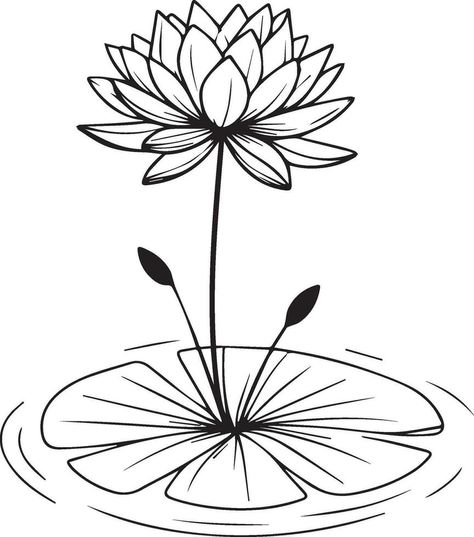 Waterlily Sketch, Water Lily Tattoo Design, Tattoo Designs Realistic, Water Lily Tattoo, Sketch Traditional, Water Lily Tattoos, Lotus Vector, Lily Tattoo Design, Lily Tattoo