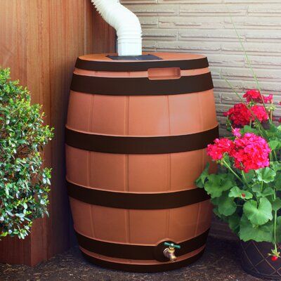 Rain water barrel