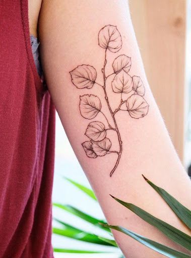 Aspen Leaf Tattoo, Aspen Tattoo, Aspen Tree Tattoo, Aspen Trees Tattoo, Tree Tattoo Ideas, Henna Tattoo Designs Arm, Aspen Leaves, Leaf Tattoo, Aspen Tree