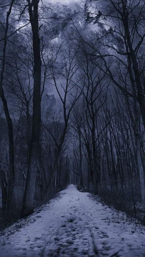 Rpg Wallpaper, Era Victoria, End Of Winter, Dark Nature Aesthetic, Snowy Forest, Forest Path, Winter Scenery, Dark Photography, Mega Man