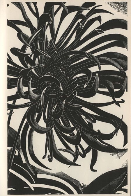 John Farleigh Cactus Dahlia, Print Block, Printmaking Art, Relief Print, Mountain Print, Print Flower, Japanese Flowers, Wood Engraving, Mountain Art