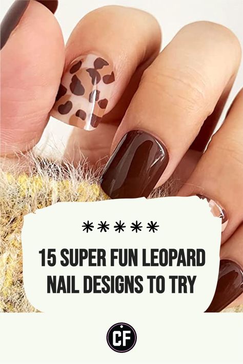 Autumn Animal Print Nails, Brown And Leopard Nails, Fall Nails Leopard Print, Fall Leopard Nails Short, Neutral Animal Print Nails, Brown Animal Print Nails, Animal Print Gel Nails, Leopard Pumpkin Nails, Fall Animal Print Nails