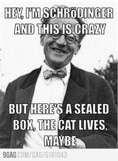 Funnnnyyyy Philosophy Humor, Physics Jokes, Schrodinger's Cat, Call Me Maybe, Nerd Humor, Think Geek, Nerd Love, Science Jokes, Science Humor