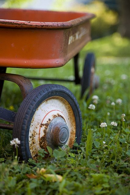 At some point we had a little red wagon, but cannot remember any of the particulars about when or how we got it. Radio Flyer, Red Wagon, Down On The Farm, Oldies But Goodies, Love Vintage, Good Ole, The Grass, Old Toys, The Good Old Days