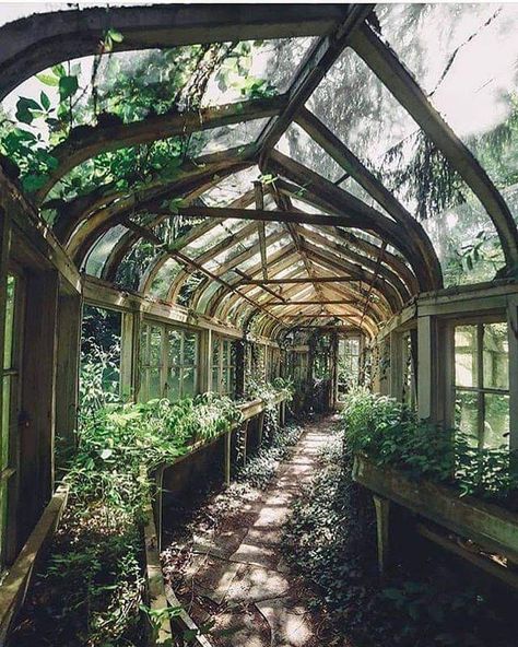 Overgrown greenhouse in Illinois, United States Greenhouse House, Old Greenhouse, Interior Design Garden, Grand Budapest Hotel, Modern Architecture House, Fantasy Places, Design Garden, Interior Home, Abandoned Buildings