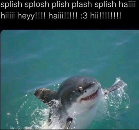 Shark Pictures, Cute Shark, Silly Images, Silly Animals, Marine Animals, Sea Animals, Animal Memes, Funny Laugh, Sea Creatures