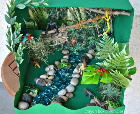 Miniature Amazon River Basin in a cardboard box. So cute and FUN!  #amazon #handson #homeschool Rainforest Crafts, Biomes Project, Rainforest Project, Rainforest Activities, Diorama Kids, Rainforest Biome, Ecosystems Projects, Habitats Projects, Rainforest Habitat