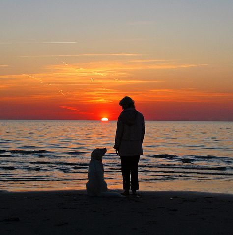 Ditte and me |  by Ingrid Brandt. Woman And Dog Silhouette, Beach Dog Photos, Dog Family Pictures, Dog Photography Poses, Woman And Dog, Puppy Photography, Photos With Dog, Family Beach Pictures, Dog Photoshoot