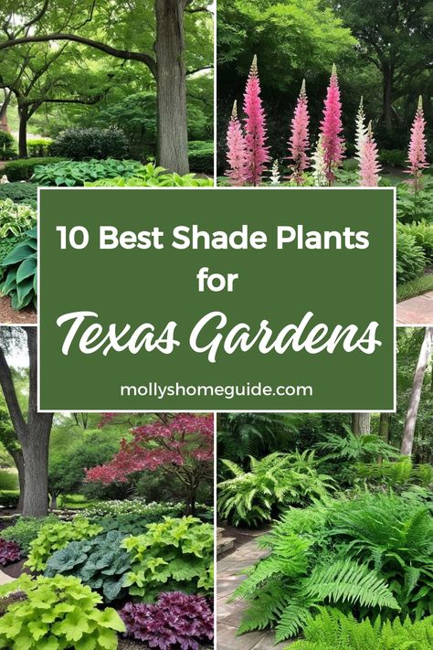 Discover the best Texas shade plants for your garden! Whether you're looking for perennial shade plants for Texas or heat-resistant options for North Texas, there are plenty of native and adapted options to choose from. Create a shade oasis with these hardy outdoor plants perfect for Central and North Texas gardens. Explore an array of native Texas plants known for their resilience in shaded areas. Elevate your North Texas shade garden with perennials that thrive in lower light conditions. Flowerbed Ideas Texas, Texas Native Front Yard, Texas Native Shade Plants, Butterfly Garden Texas, Texas Native Flowers, North Texas Native Plants Landscaping, North Texas Flower Beds Front Yards, Zone 9 Gardening Texas, Landscape Ideas Texas