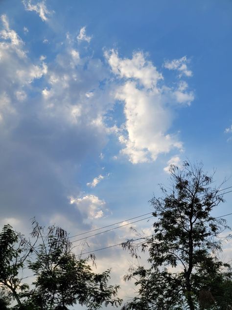 Clouds , trees Sunny Days Aesthetic, Sunny Day Pictures, Sunny Clouds, Day Sky, Sunny Sky, Sky Day, Sky Pics, Sky Pictures, Random Photos