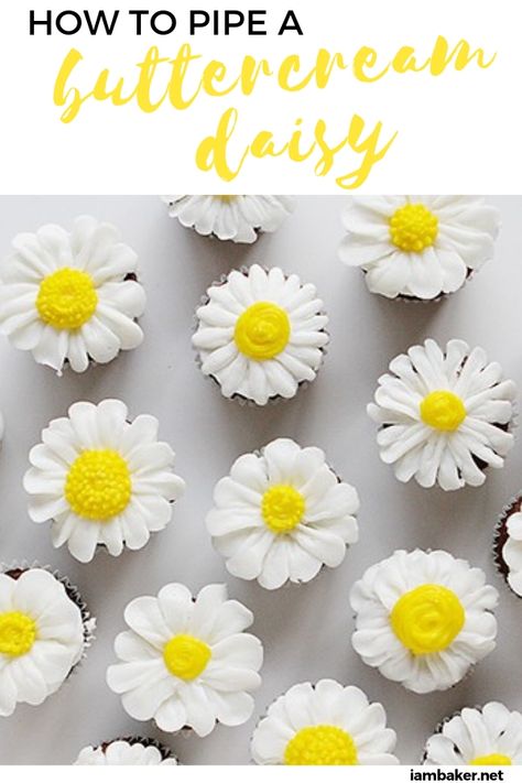 Daisies on a cupcake? Follow this simple recipe for instructions on how to pipe daisies from buttercream frosting. This sweet treat will bring you to a buttercream daisy overload! It will definitely look good in your birthday party table! Margaritas, How To Make Daisy Cupcakes, Daisy Icing Flowers, How To Make Daisies Out Of Frosting, Daisy Flower Cupcakes, How To Make Daisy Flowers For Cakes, Simple Buttercream Flowers, Icing Daisy Flower, Frosting Daisies