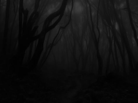 Most people would not appreciate this because it is so dark. You need to jump into the image and lose yourself. Look at it closely. Shadow Realm, Shadow Monster, Haunted Forest, Evil World, Fantasy Aesthetic, The Shadows, Dark Forest, Dnd Characters, Dark Aesthetic