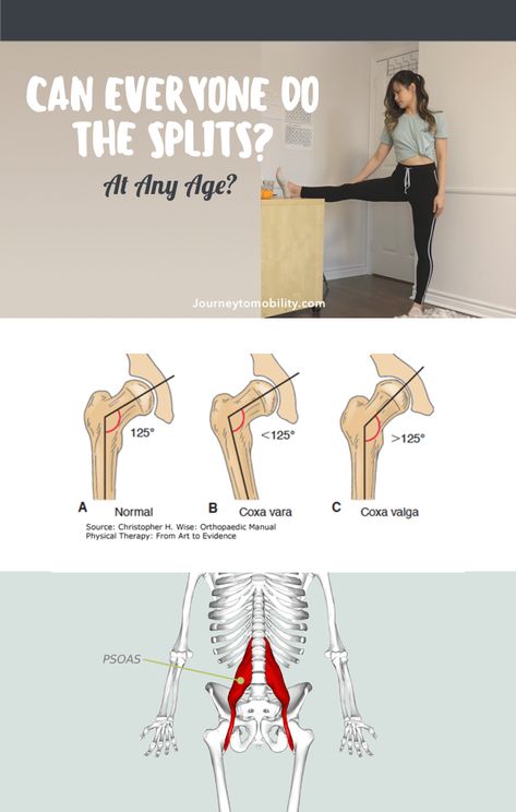 With consistent practice, most healthy adults can train and eventually learn how to do the splits. However, there are some structural differences that make it more optimal for some people to be training for the splits and less optimal for others.   In this post I'll be going over what those structural differences are and a simple test you can do at home to determine if you have the potential to get the splits. Split Yoga Stretches, Learn How To Split For Beginners, Splits For Non Flexible People, Splits Training For Beginners, Standing Splits How To Do, How To Middle Splits, Stretches For Splits In A Week, Split Training Flexibility, Yoga Splits Flexibility Stretches