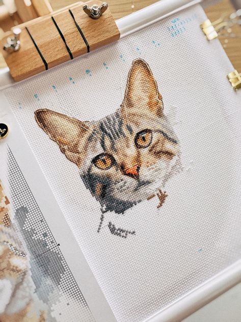 Watercolor Tabby Cat Cross Stitch Pattern Domestic Shorthair Cat Portrait Xstitch Chart Feline Embroidery Cat Lover Needlepoint Grey Kitten - Etsy UK Domestic Shorthair Cat, Cross Stitch Cat, Portrait Cross Stitch, Ith Machine Embroidery, Birds Embroidery Designs, Grey Kitten, Shorthair Cat, Animal Embroidery Designs, Cat Cross Stitch Pattern