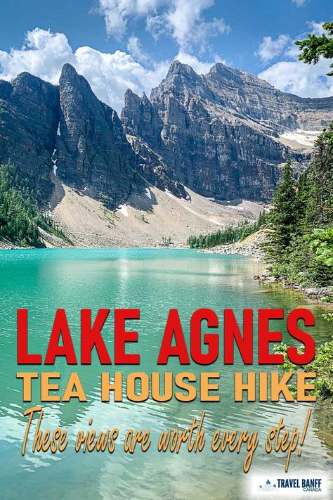 Travel Banff, Lake Agnes Tea House, Canada Train, Banff Travel, Glacier National Park Trip, Jasper Canada, Lake Louise Canada, 2023 Vacation, Lake Agnes