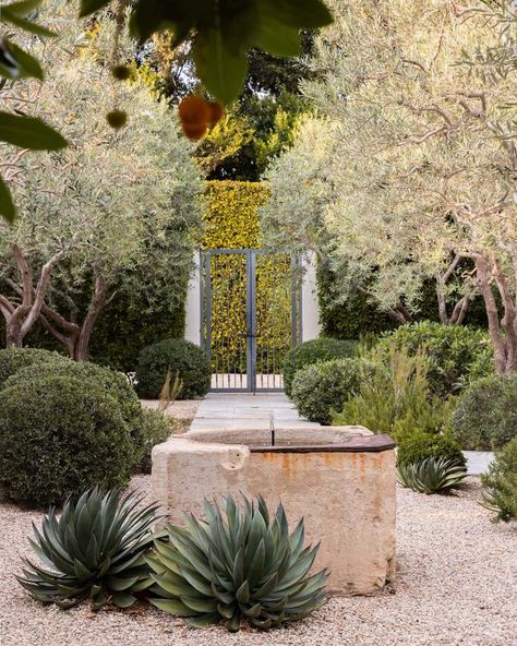 Spanish Courtyard, Vegetable Planters, French Oak Flooring, Mediterranean Garden, Puglia, Landscape Architecture, Water Features, Garden Inspiration, Outdoor Garden