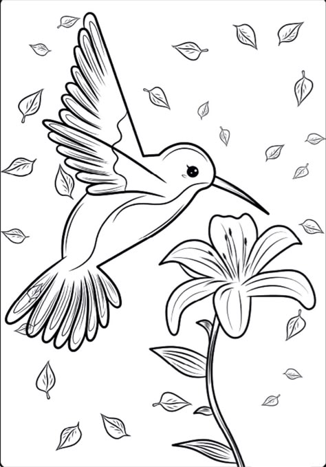 Hummingbird Drawing Easy, Hummingbird Coloring Pages, Embroidery Journaling, Cute Bird Drawing, Birds Coloring Pages, Coloring Materials, Fall Leaves Coloring Pages, Flamingo Coloring Page, Bird Outline