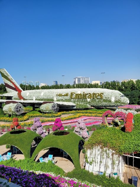 Beautiful Places In Dubai, Dubai Miracle Garden Aesthetic, Miracle Garden Dubai Photography, Miracle Garden Dubai, Dubai Location, Dubai Frame, Dubai Garden, Activities For All Ages, Miracle Garden