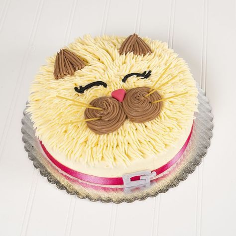 Cake Colors, Birthday Cake For Cat, Cat Birthday Party, Animal Cakes, Brown Chocolate, Character Cakes, Dog Cake, Cat Cake, Puppy Face