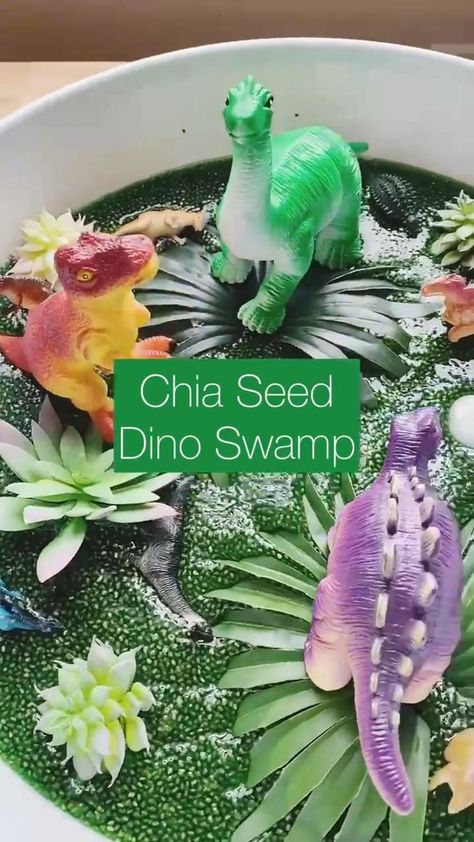 Chia Seed Dino Swamp! in 2022 | Sensory crafts, Easy toddler activities, Baby learning activities Toddler Sensory Bins, Outfit Hiking, Easy Toddler Activities, Baby Sensory Play, Sensory Crafts, Baby Play Activities, Sensory Activities Toddlers, Nursery Activities, Lost 100 Pounds