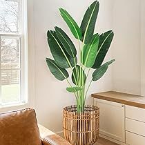 Bird Of Paradise Plant, Paradise Plant, Artificial Birds, Artificial Plants Indoor, Banana Tree, Artificial Trees, Potted Trees, Bird Tree, Artificial Tree