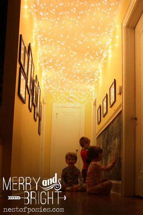 Animal Storage Ideas, Stuffed Animal Storage Ideas, Lights On The Ceiling, Christmas Ceiling Decorations, Christmas Hallway, Hallway Ceiling Lights, Kids Ceiling Lights, Budget Christmas, Indoor Christmas Lights