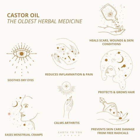 Castor Oil: The World's Oldest Herbal Medicine – Earth To You Selfcare Era, Castor Oil Uses, Endo Diet, Castor Oil Benefits, Ayurvedic Practitioner, Castor Oil Packs, Body Mechanics, Naturopathic Medicine, Natural Healing Remedies