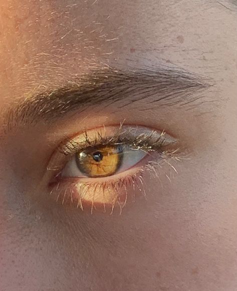 Golden Eye Color, Golden Amber Eyes Aesthetic, Golden Amber Eyes, Yellow Eye Aesthetic, Yellow Eyes Male, Golden Eyes Aesthetic, Golden Boy Aesthetic, Honey Colored Eyes, Caramel Eyes