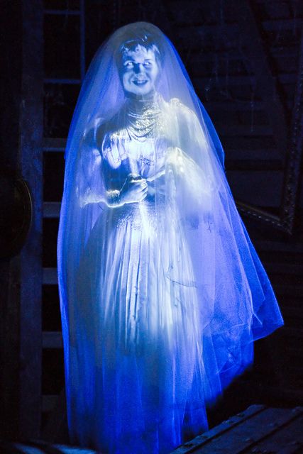 Magic Kingdom - Ghost Bride by SpreadTheMagic, via Flickr  I LOVE HAUNTED MANSION! Haunted Mansion Pictures, Mansion Pictures, Haunted Mansion Bride, Bride Ghost, Constance Hatchaway, Ghost Bride Costume, Haunted Mansion Costume, Haunted Mansion Halloween, Haunted Mansion Disneyland