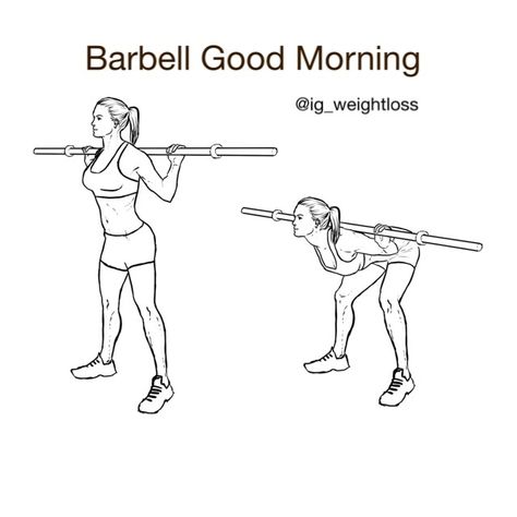 Barbell Good Morning, Muscle Groups, Lower Back, Fitness Motivation, Good Morning, Instagram Posts, On Instagram, Instagram, Fit Motivation