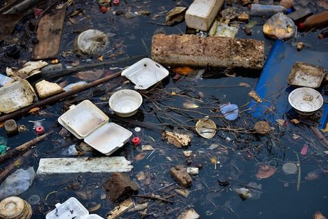 Photo beach pollution. plastic bottles a... | Premium Photo #Freepik #photo #dirty-water #garbage-bag #trash-bag #plastic-waste Beach Pollution, Old Photo Restoration, Countries Of Asia, Surealism Art, Environmental Pollution, Fire Damage, Water Pollution, Photo Restoration, Odor Remover