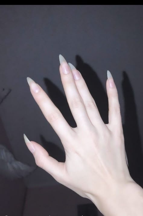 Vampire Nails, Long Natural Nails, Female Hands, Sharp Nails, Claw Nails, Hand Reference, Pretty Hands, Nails Magazine, Nails On Fleek