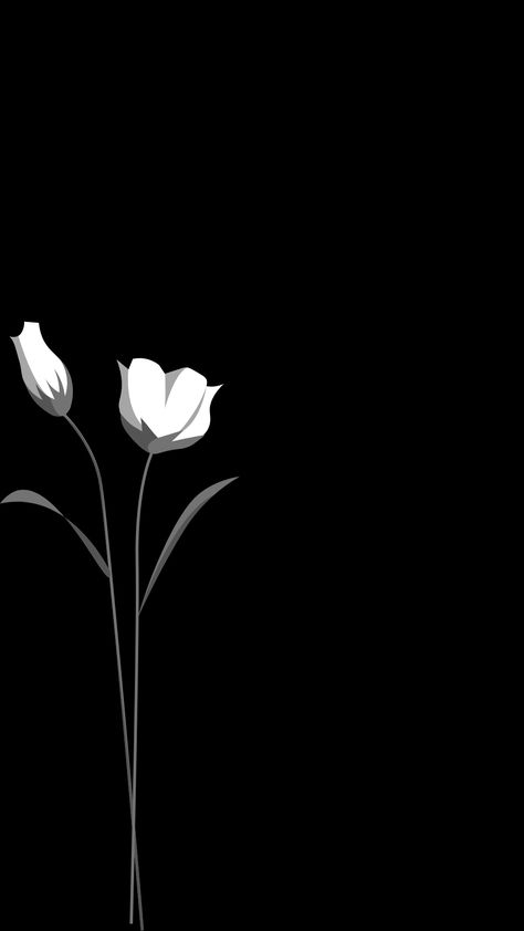 Black Tulips Wallpaper Iphone, Lock Screen Wallpaper Tulips, Dark Tulips Wallpaper, Black Tulips Aesthetic Wallpaper, Wallpaper Aesthetic For Home Screen, Lock Screen Wallpaper Aesthetic Black And White, Black Lock Screen Wallpaper Aesthetic, Hd Homescreen Wallpaper, Home Screen Black Wallpaper