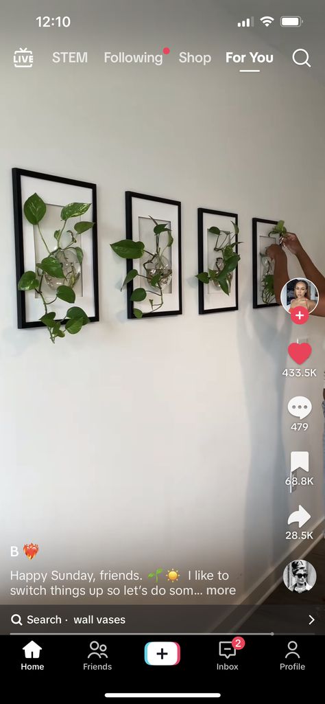 Photo And Plant Wall Ideas, Diy Apartment Wall Decor, Gallery Wall Ideas With Plants, Picture Frames And Plants On The Wall, Framed Plants On Wall, Picture Frame Plant Wall, Gallery Wall With Plants And Pictures, Plant Frame Wall Decor Diy, Plant Gallery Wall