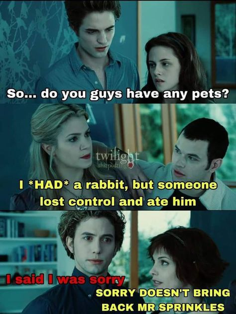 Twilight Saga Quotes, Twilight Movie Scenes, Twilight Jokes, Twilight Quotes, Twilight Saga Series, Twilight Funny, Twilight Memes, Twilight Edward, Twilight Photos