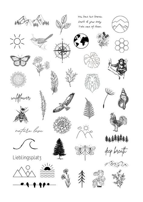 A sheet of temporary adhesive tattoos with nature motifs. Included in the delivery are a tattoo sheet, instructions and a non-mirrored printout to see how the tattoos will look on the skin. Please also take a look at our other articles. Nature Dainty Tattoo, Plant Diagram Tattoo, Tiny Nature Tattoo Simple, Small Tattoos Plants, Dainty Desert Tattoo, Nature Patch Work Tattoo, Tiny Tattoos Nature, Small Nature Inspired Tattoos, Aspen Tree Tattoo Simple