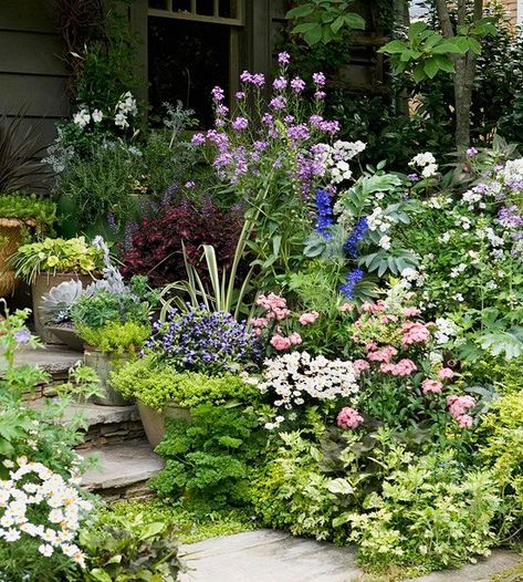 Stone Steps, Cottage Garden Design, Cottage Garden Plants, Have Inspiration, Garden Pictures, 수채화 그림, Front Yard Garden, Garden Borders, Flowers Wallpaper