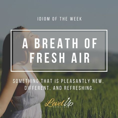 If you describe someone or something as a breath of fresh air, you mean that they are pleasantly different from what you are used to and makes everything seem more exciting.   For example, you could say: "Tom's so cheerful and lively - he's like a breath of fresh air when he visits." Or, "the last band was a breath of fresh air in an otherwise boring night of music." Describe Someone, A Breath Of Fresh Air, Breath Of Fresh Air, Fresh Air, When He, Band, Quotes, Music