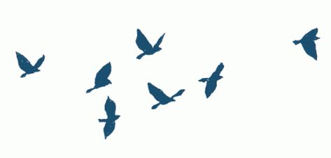 Flock Of Birds Birds Sticker - Flock Of Birds Birds Flying - Discover & Share GIFs Fly Gif, Bird Clipart, Bird Gif, Flock Of Birds, Gif Animation, Birds Flying, Flocking, Blue Bird, Animated Gif