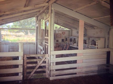 Chicken Coop And Pig Pen, Chicken Coop And Goat Pen, Carport Chicken Coop Ideas, Multi Animal Barn, Goat And Chicken Pen Ideas, Chicken Coop Inside Barn, Carport Chicken Coop, Rabbitry Setup Ideas, Horse Stall