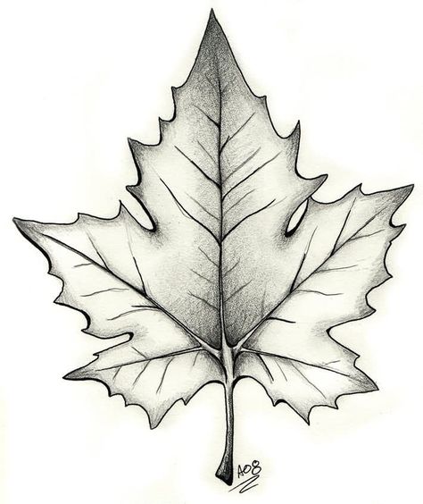 Maple Leaf Tattoo Design, Leaf Tattoo Design, Autumn Tattoo, Leaf Tattoo, Black And White Leaves, Tattoo Zeichnungen, Forearm Tattoo Design, Leaf Illustration, Leaf Drawing